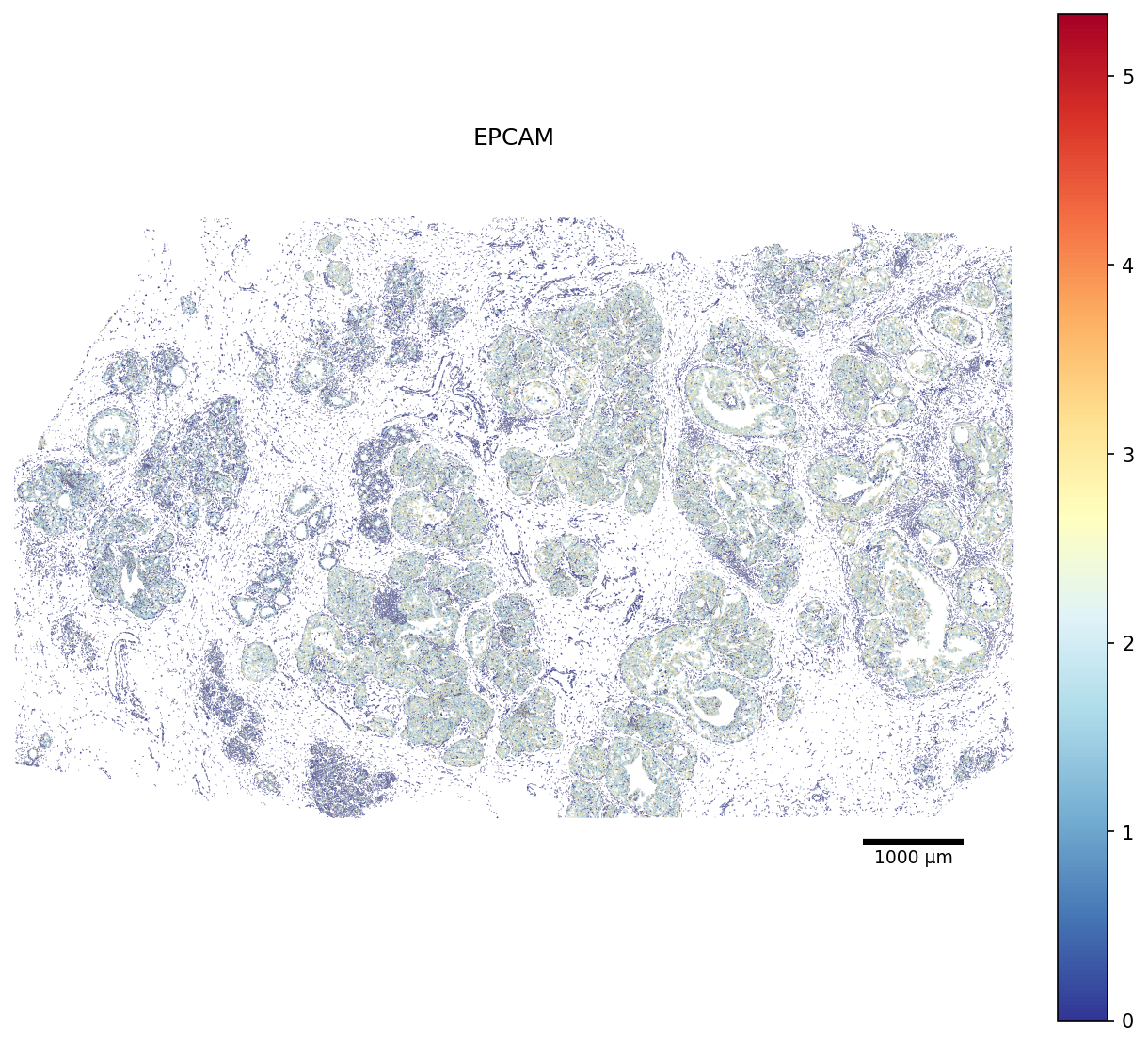 ../_images/notebooks_atera_analysis_62_0.png